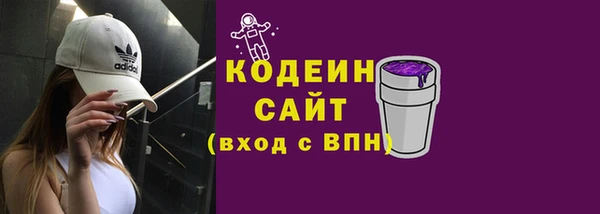 индика Сатка