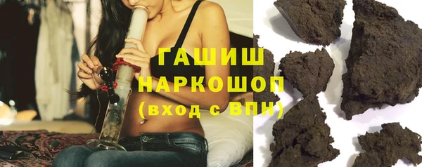 индика Сатка