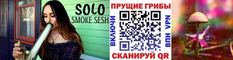 Псилоцибиновые грибы GOLDEN TEACHER  Семёнов 